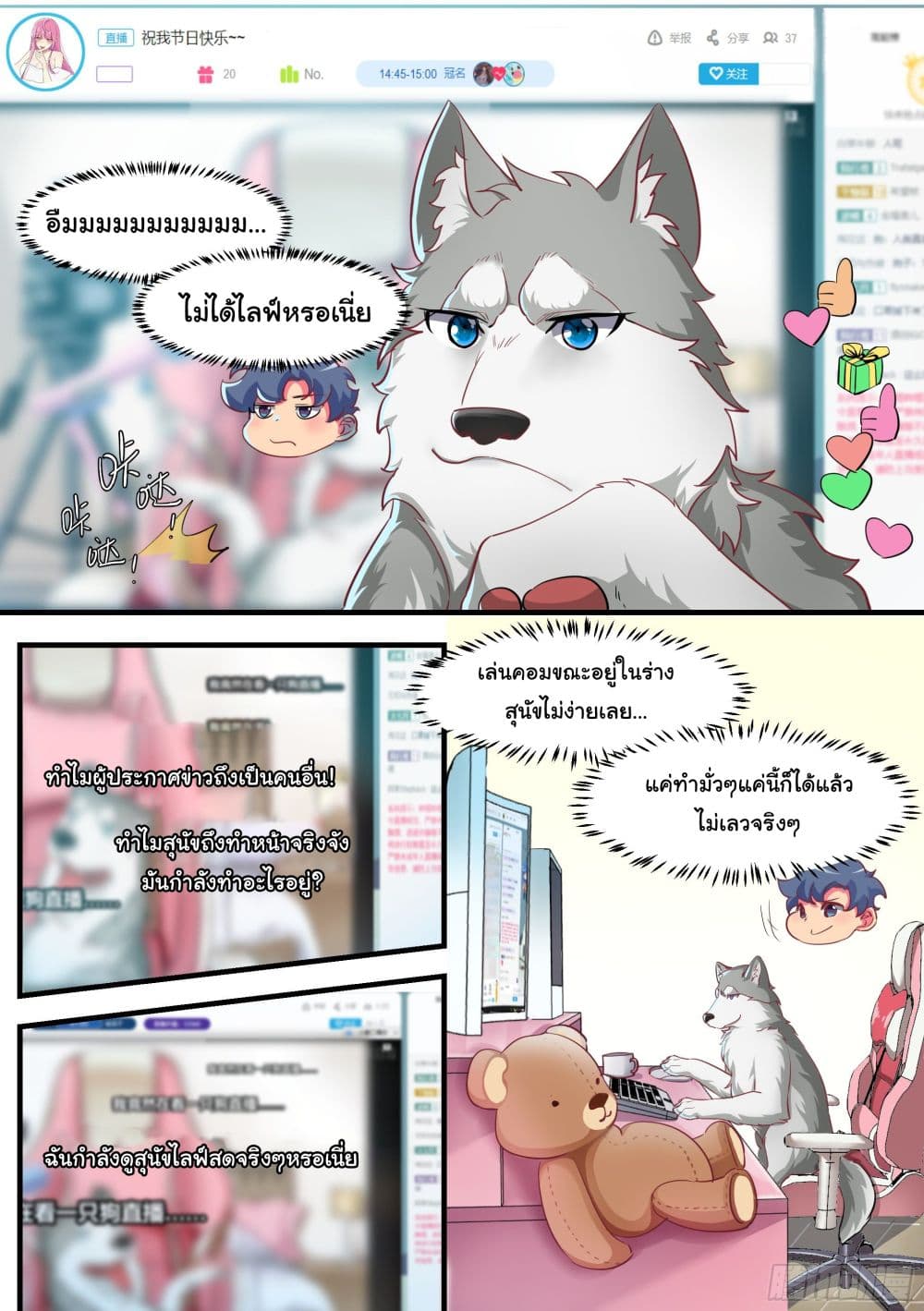 Idol’s Husky Is a Great Streamer! 2 (4)